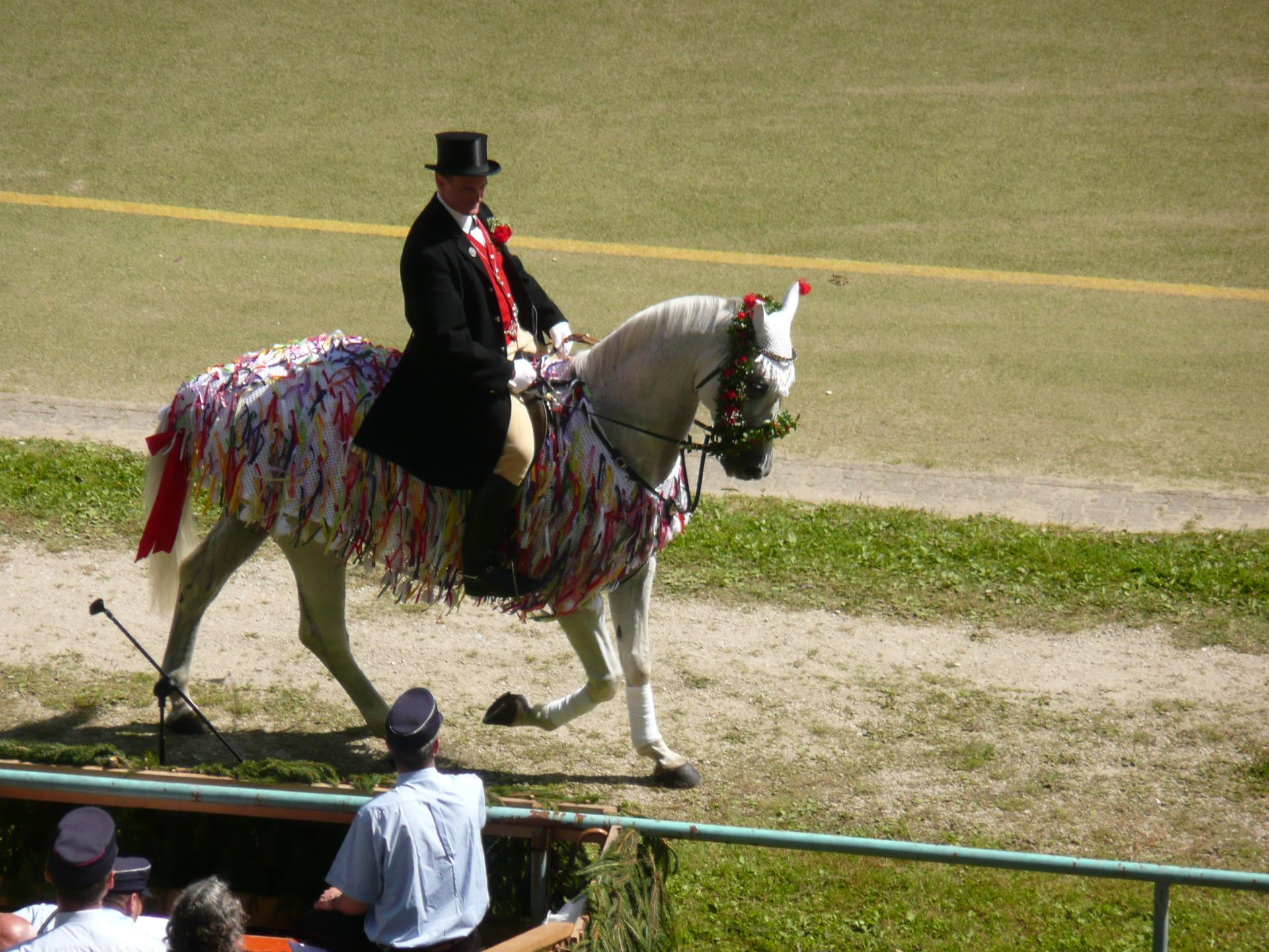 Schäferlauf in Bad Urach