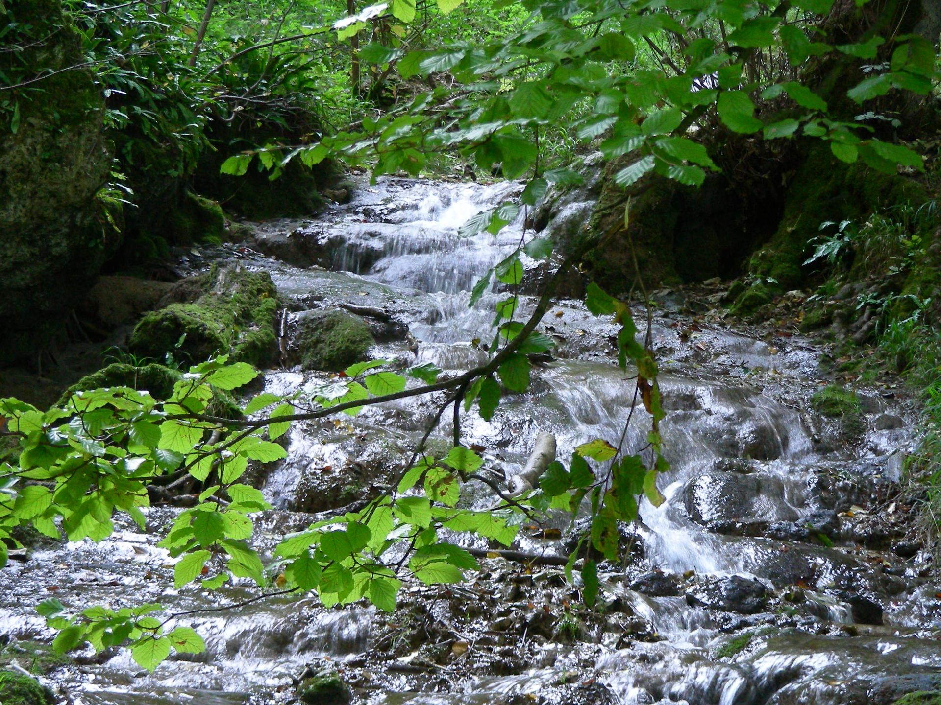 Brühlbach (4/5): Auf dem Weg zum Wasserfall