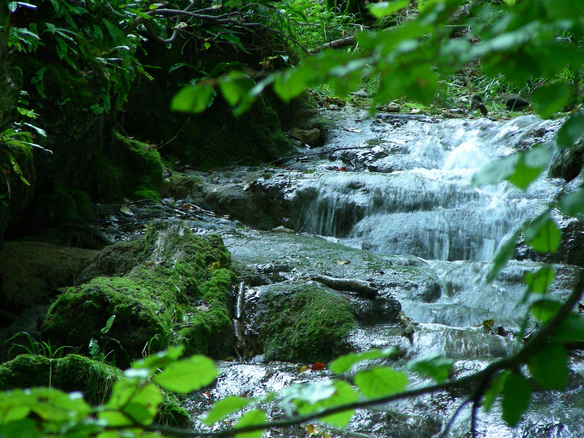 Brühlbach am Wasserfall