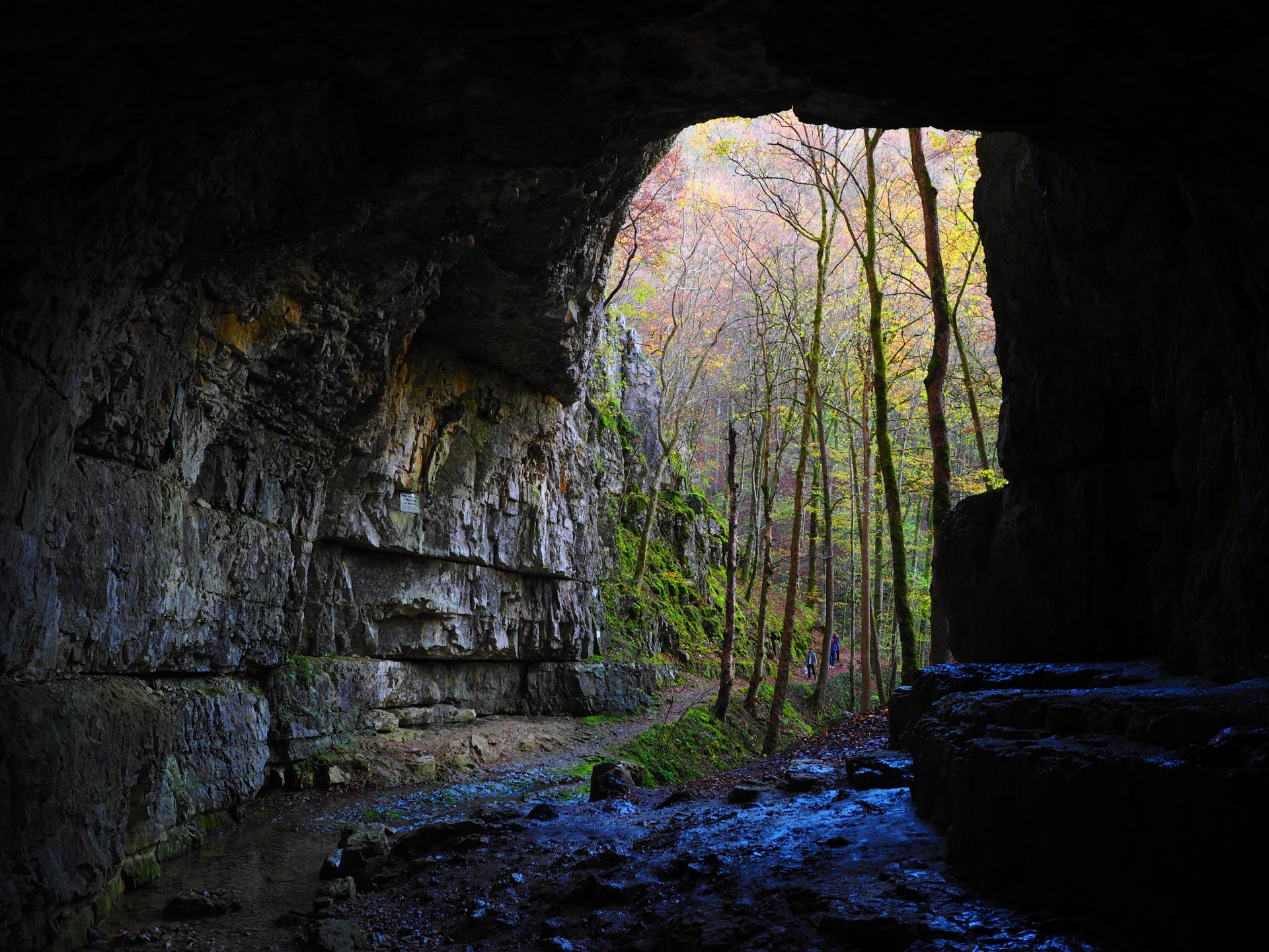 Falkensteiner Höhle